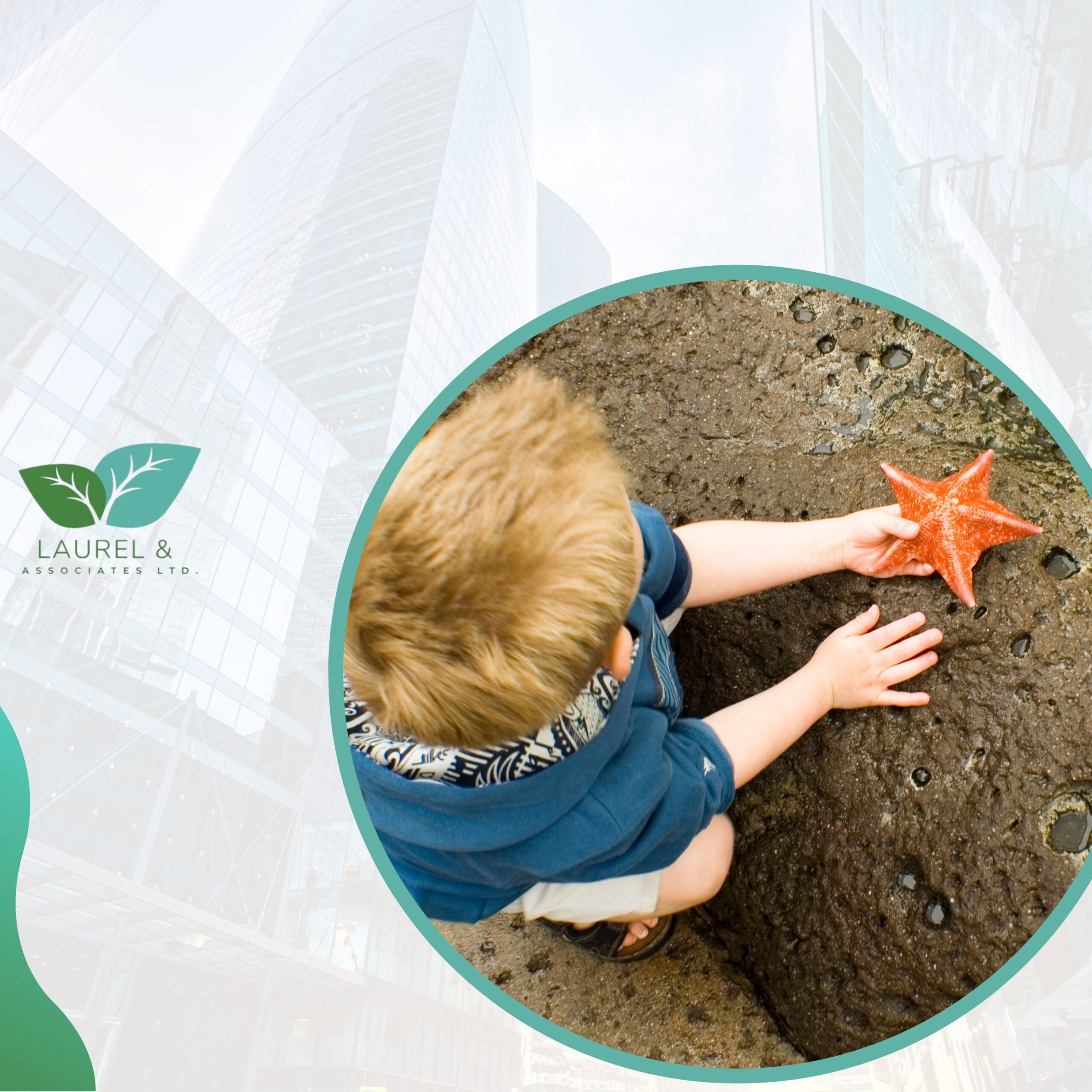 Soft skills make a difference, just as a child makes a difference when putting a starfish back into the ocean.